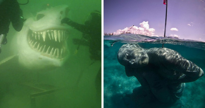 17 fénykép olyan furcsa víz alatti tárgyakról, melyek bárkit képesek halálra rémíteni