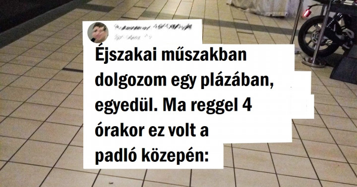 14 felvétel, ami igazolja, hogy a boltok ugyanolyan menő dolgokat rejtenek, mint éjszaka a múzeumok