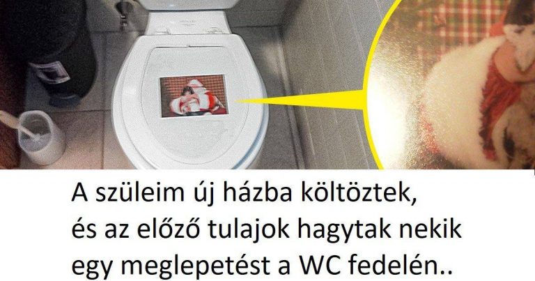 18 alkalom, mikor az emberek meglepetésekre bukkantak az új házukban