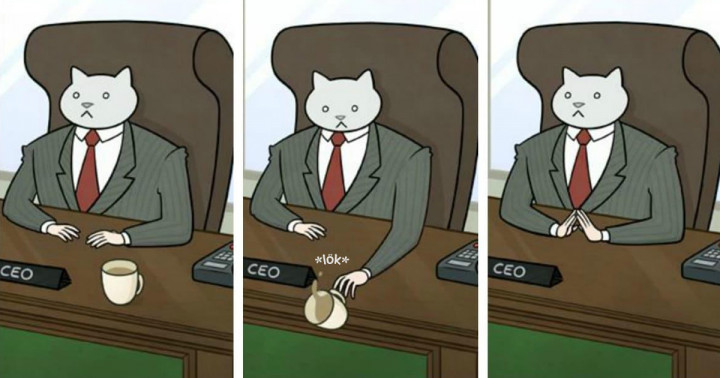 20 vicces kép arról, milyen lenne az életünk, ha egy macska volna a főnökünk
