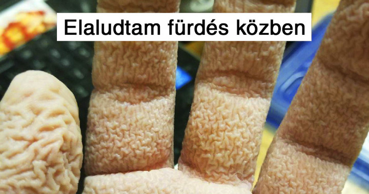 20 felvétel, amely bebizonyítja, hogy mindenben ott rejlik a “művészet”