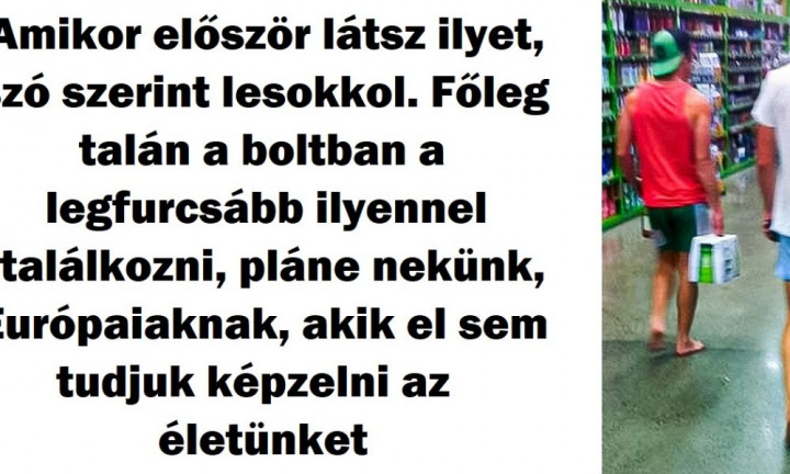 22 tény Új-Zélandról, amely először összezavar, majd ámulatba ejt
