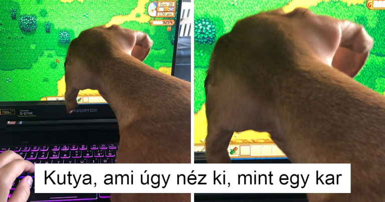 14 fotó, ami valójában egy megfejtésre váró rejtvény