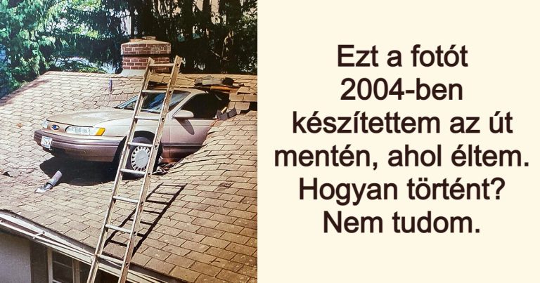 16 dicsőséges felvétel, ami feldobja a hangulatodat