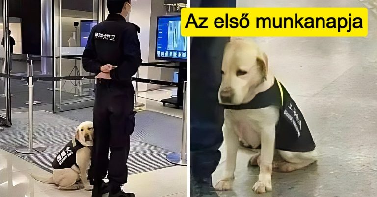 17 pillanat, amit nem fogsz tudni elfelejteni