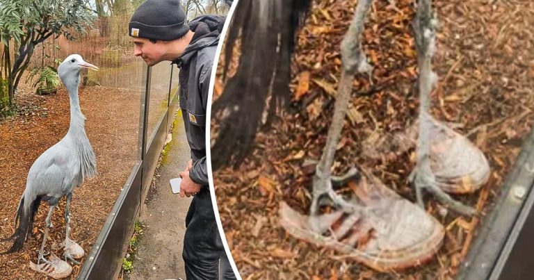 21 véletlen egybeesés bizonyítja, hogy a Mátrix hibái valósak