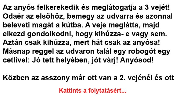 Az anyós felkerekedik és meglátogatja a 3 vejét!