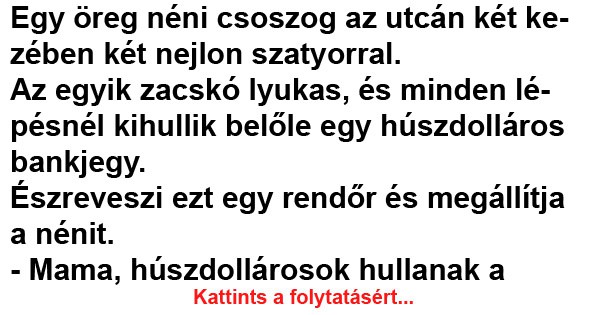 Egy öreg néni csoszog az utcán két kezében két nejlon szatyorral