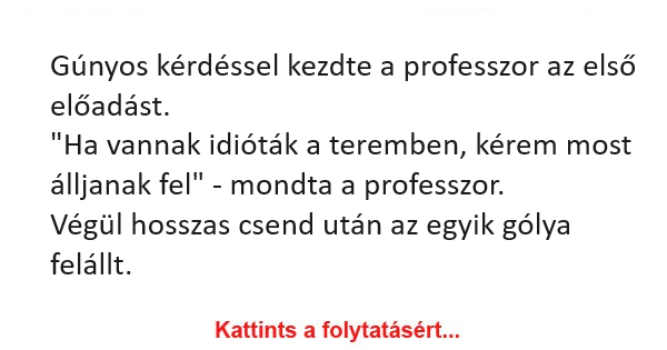 Gúnyos kérdéssel kezdte a professzor az előadást