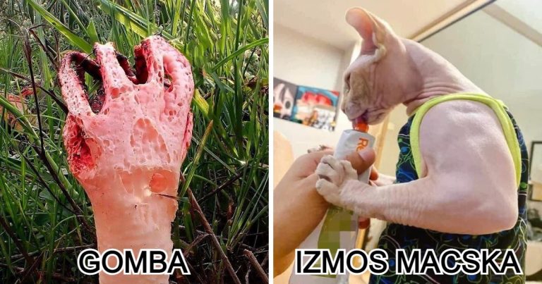 17 alkalom, amikor a természet új csodákkal próbált elvarázsolni minket