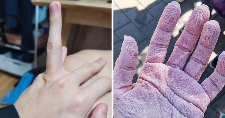 20+ kép, ami csak az első néhány másodpercben tűnik hétköznapinak