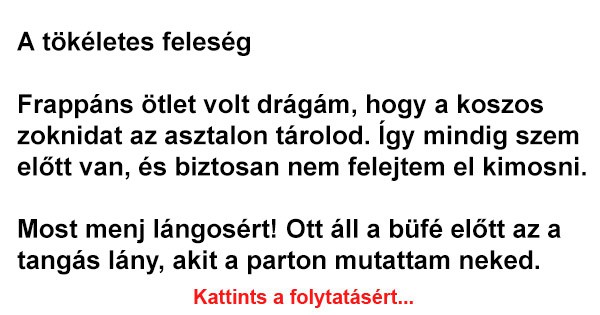 A tökéletes feleség