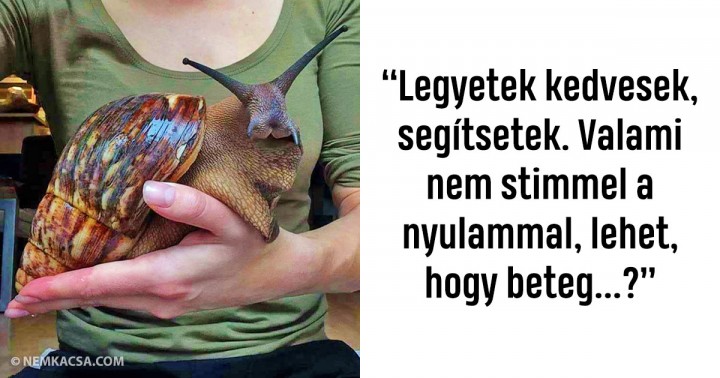 Ennek a 20 embernek a humorérzéke szinte felér egy szíven döféssel