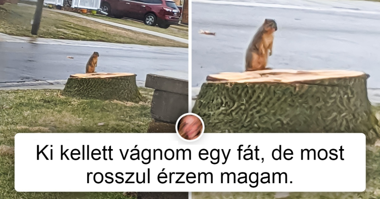 20 ember, akinek unalmas napja volt, de aztán valami váratlan dolog történt