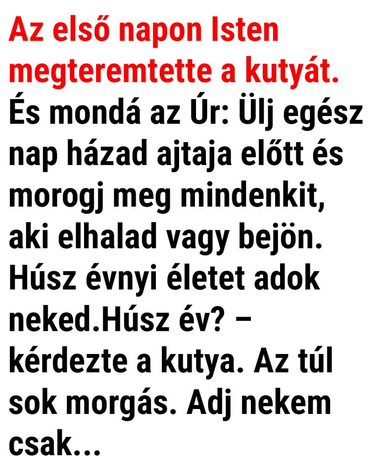 VICC: Az első napon Isten megteremtette a kutyát