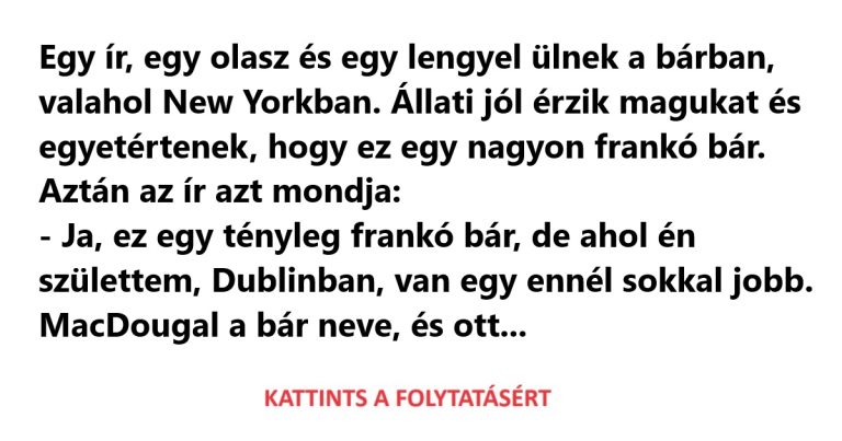 Egy ír, egy olasz és egy lengyel ülnek a bárban, valahol New Yorkban