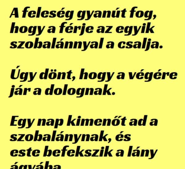 VICC: A feleség gyanút fog, hogy a férje a szobalánnyal