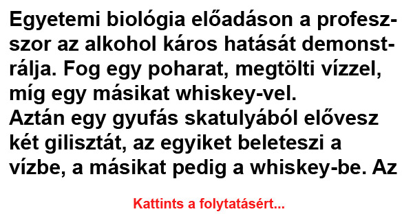 VICC: Egyetemi biológia előadáson a professzor az alkohol káros hatását demonstrálja