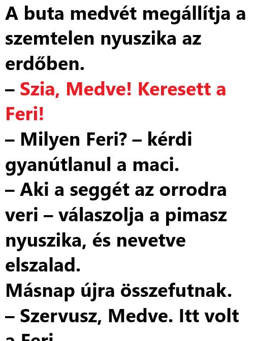 A buta medvét megállítja a szemtelen nyuszika az erdőben