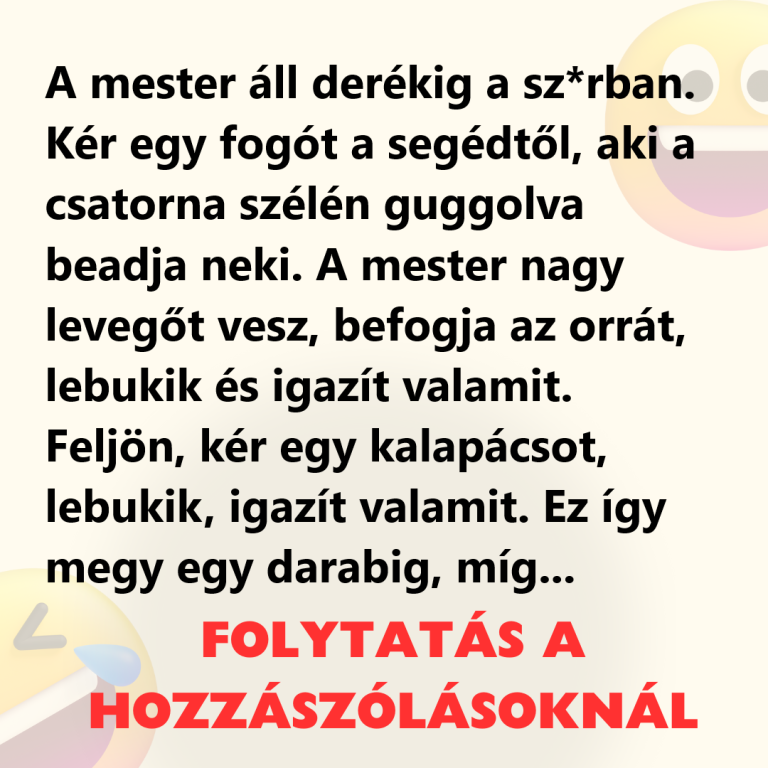 A mester áll derékig a sz*rban