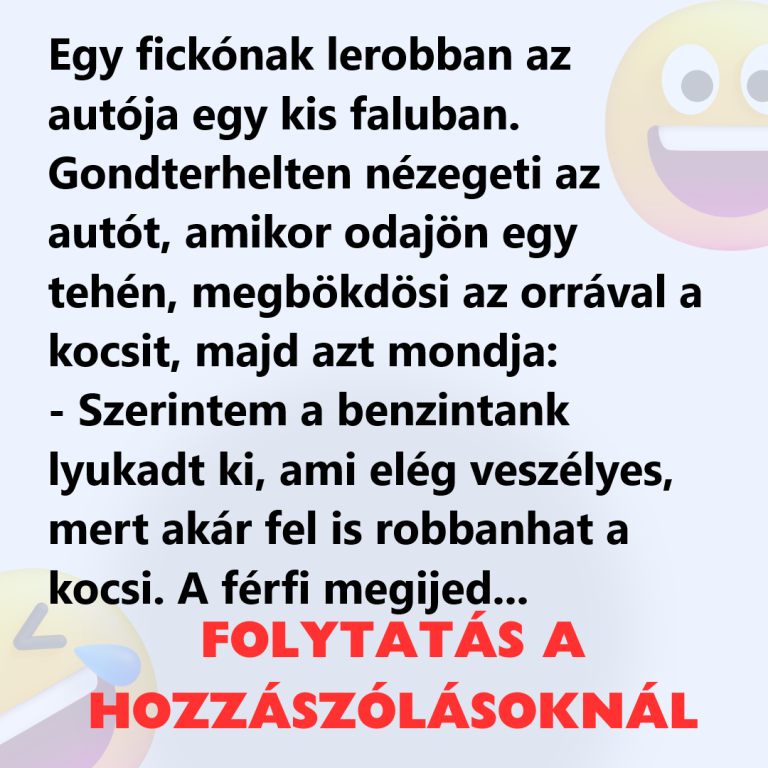 Egy fickónak lerobban az autója egy kis faluban