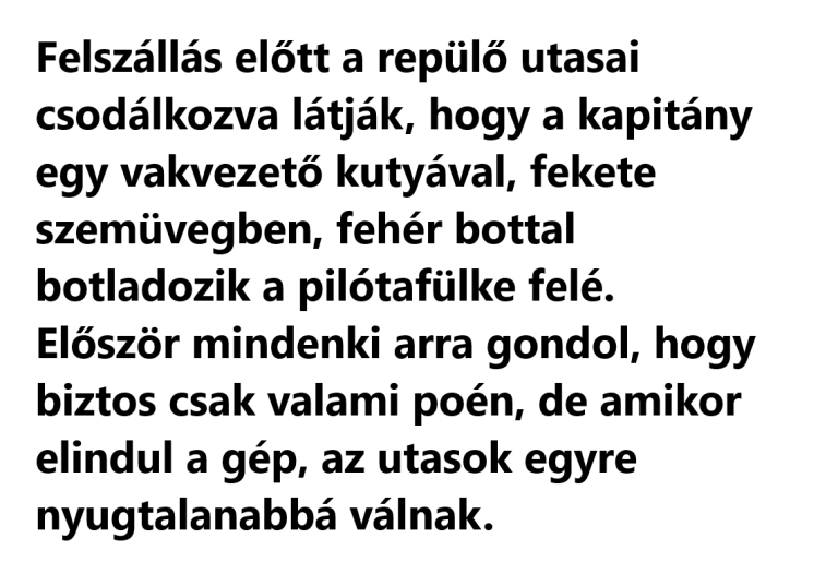 Felszállás előtt a repülő utasai csodálkozva látják, hogy a kapitány egy vakvezető kutyával…