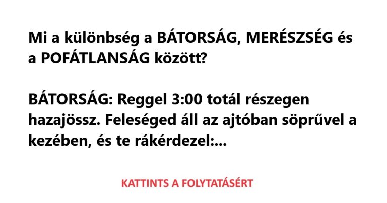 Mi a különbség a BÁTORSÁG, MERÉSZSÉG és a POFÁTLANSÁG között?