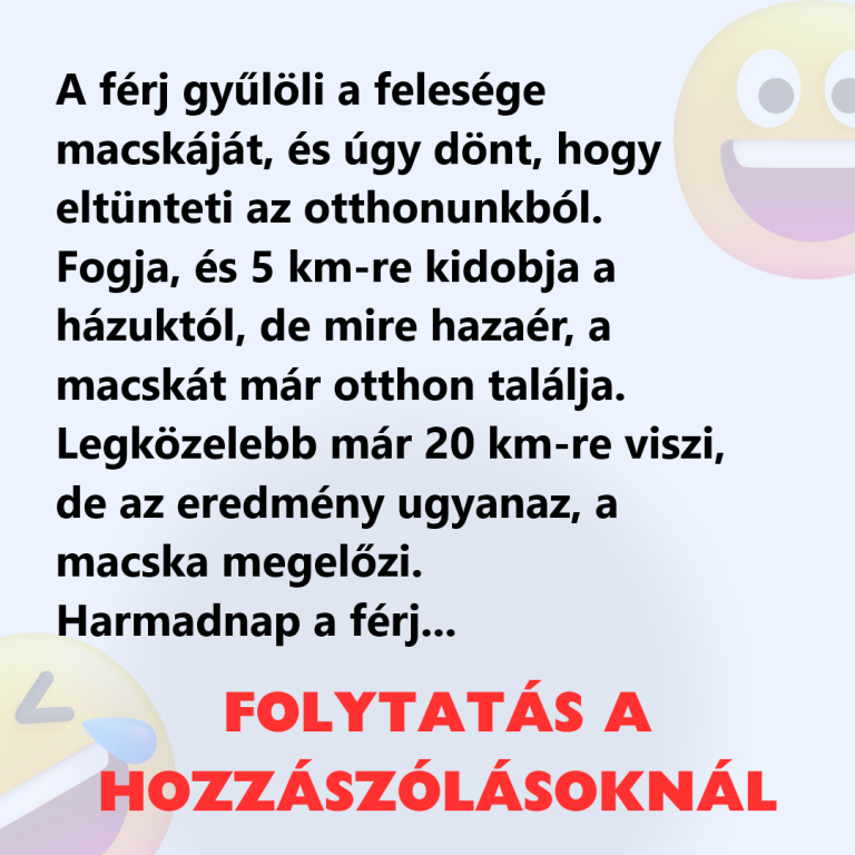VICC: A férj gyűlöli a felesége macskáját és el akarja tüntetni