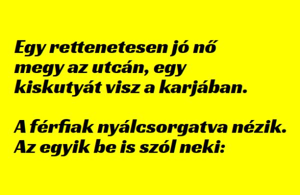 VICC: Egy rettenetesen jó nő megy az utcán, egy kiskutyát visz a karjában