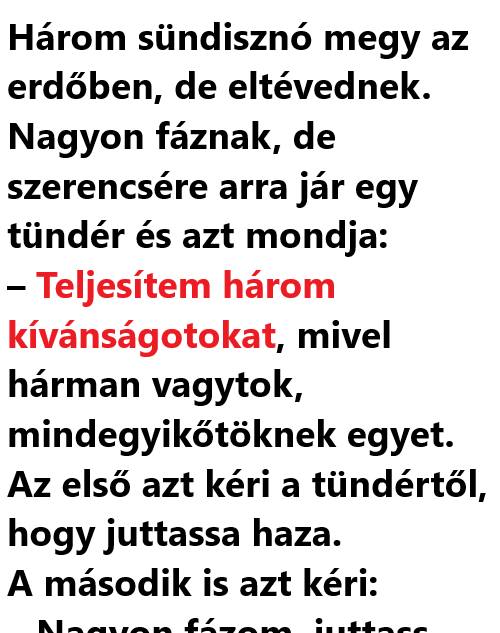 VICC: Három sündisznó megy az erdőben, de eltévednek
