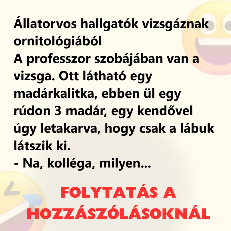 Állatorvos hallgatók vizsgáznak ornitológiából