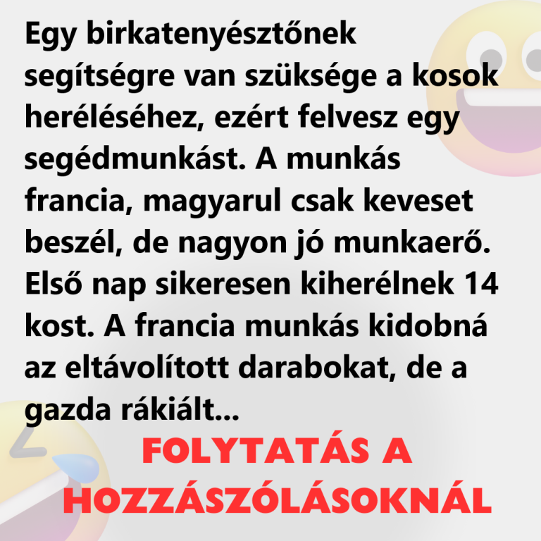 Egy birkatenyésztőnek segítségre van szüksége