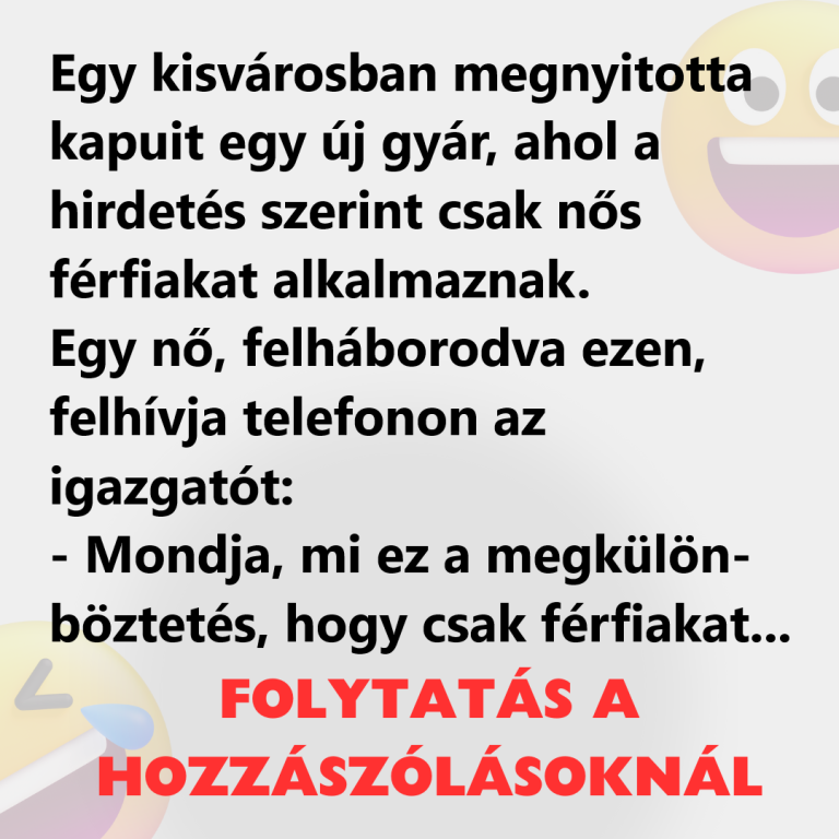 Egy kisvárosban megnyitotta kapuit egy új gyár