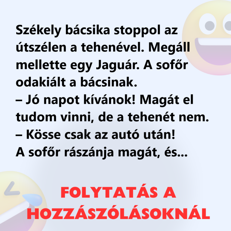 VICC: Székely bácsika stoppol az útszélen a tehenével