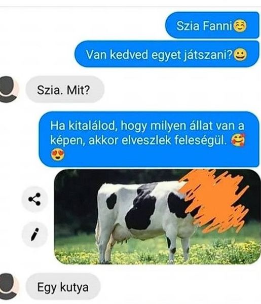 Szia Fanni!