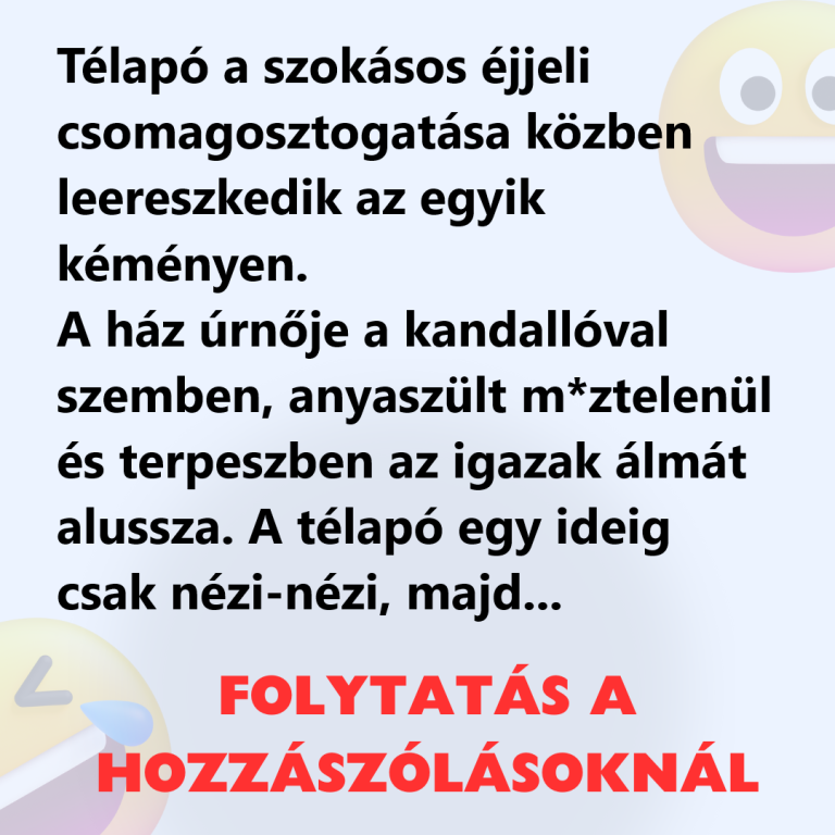 Télapó a szokásos éjjeli csomagosztogatása közben