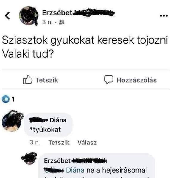 Erzsébet felkapta a vizet, és kiteregette a szennyest