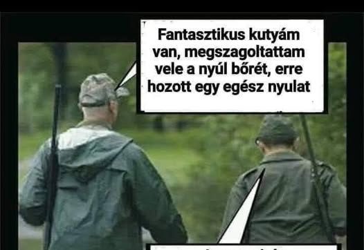 Fantasztikus kutyám van