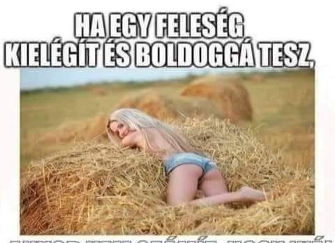 Ha egy feleség