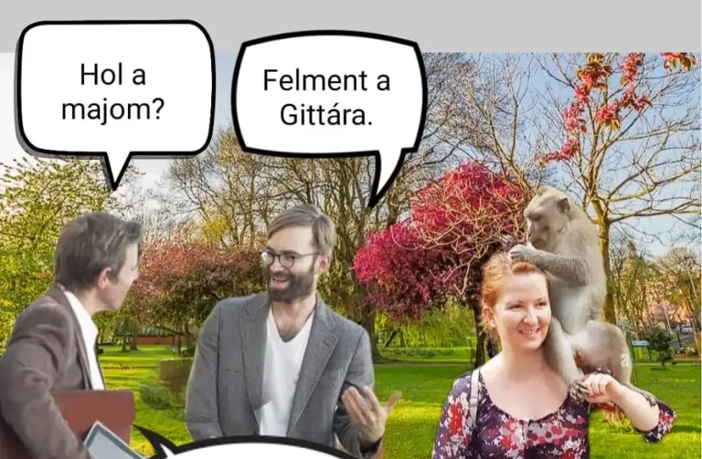 Hol a majom?