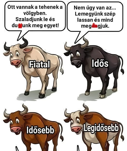 Ott vannak a tehenek a völgyben