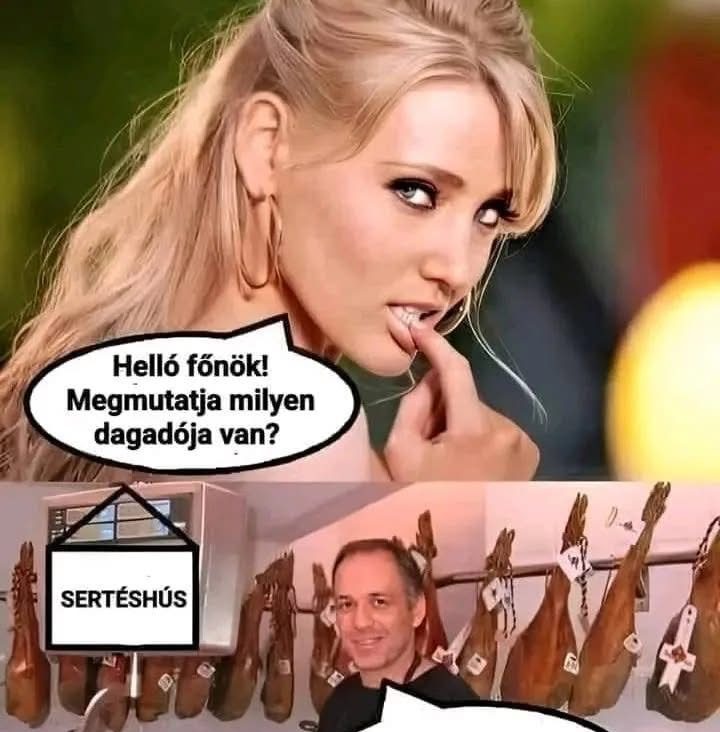 Helló főnök!