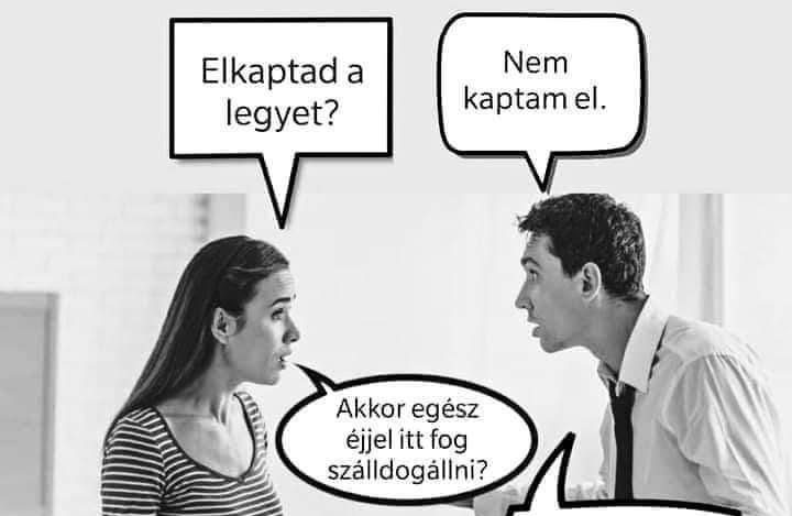 Elkaptad a legyet?