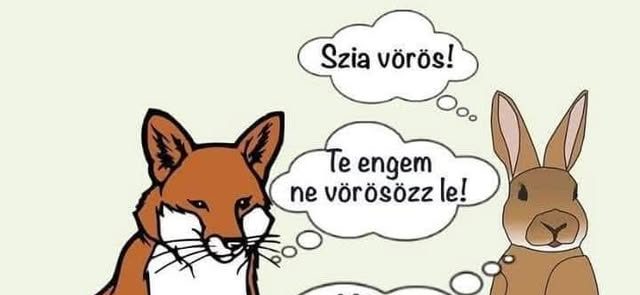 Szia vörös!
