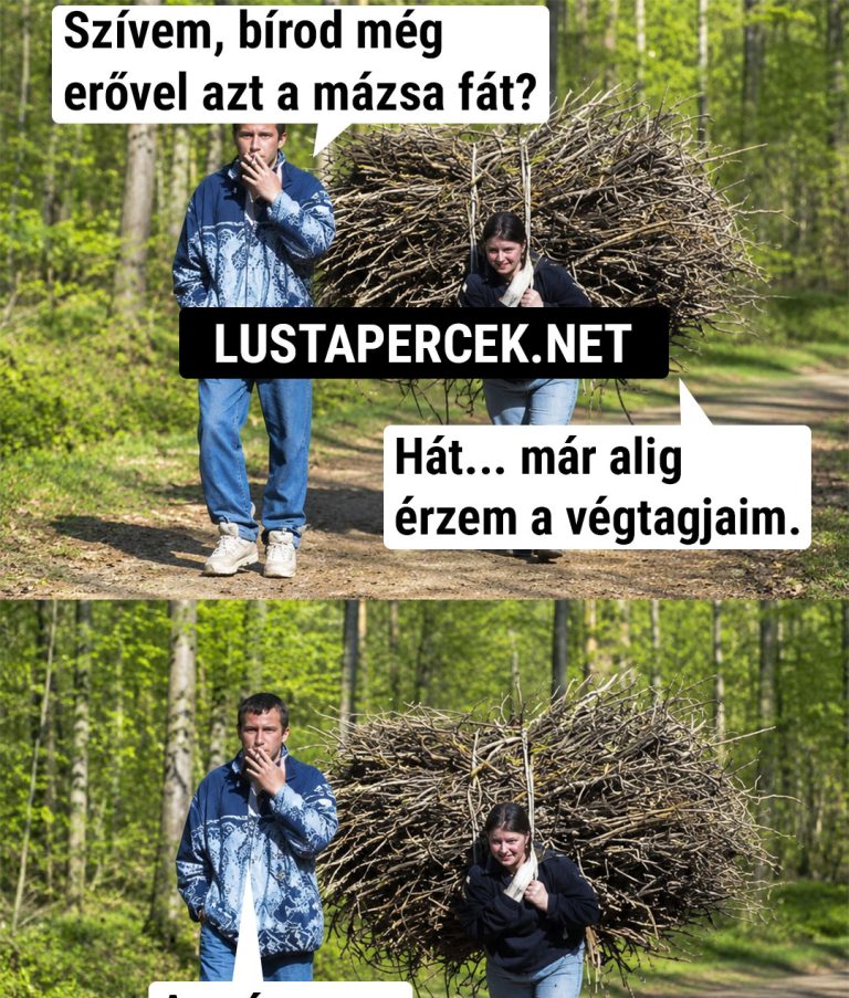 Szívem, bírod még  erővel azt a mázsa fát?
