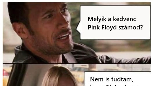 Melyik a kedvenc…