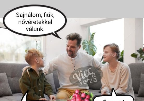 Sajnálom, fiúk