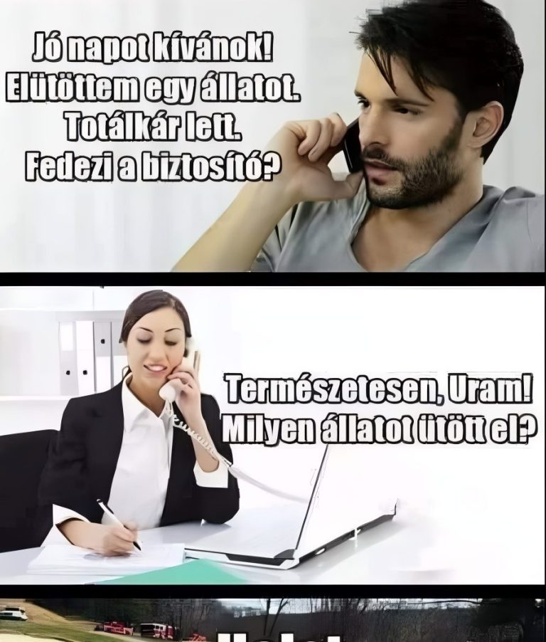 Elütöttem egy állatot.