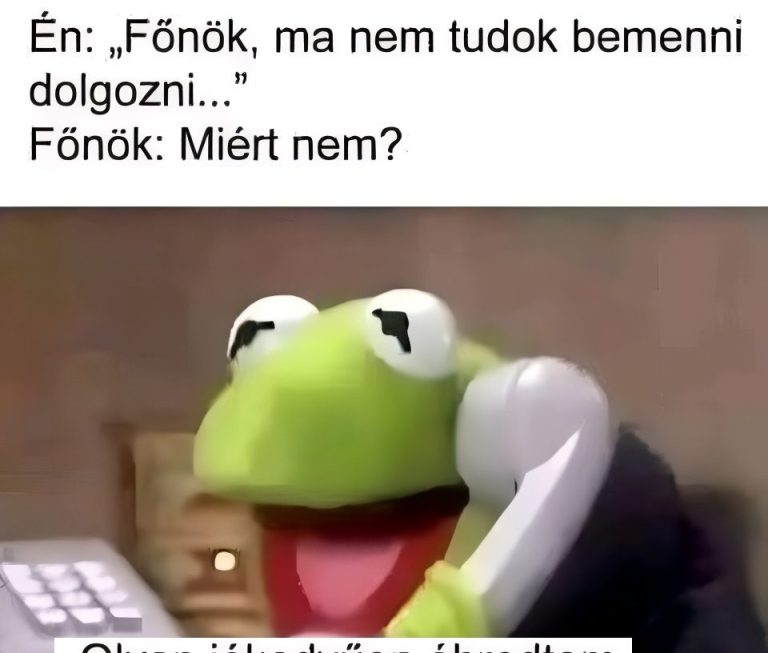 Főnök, ma nem tudok…