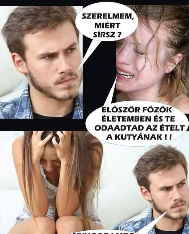 Odaadtad a kutyának
